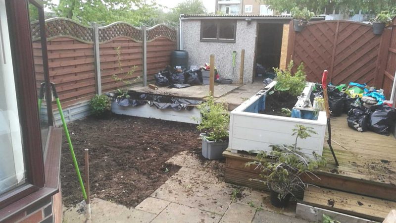 Prepared ground with seed