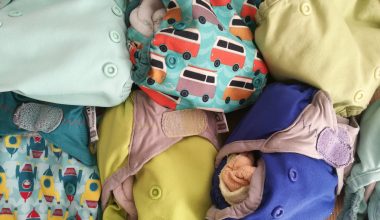 Reusable Nappies with waterproof cover and removable absorbent insert