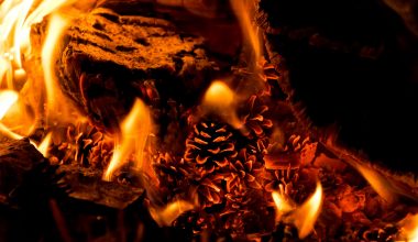 Five eco ways to stay warm - fire embers